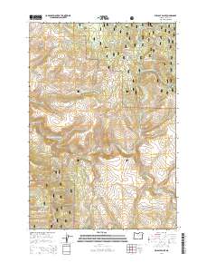 2014 Map of Wildcat Point, 2014 Print