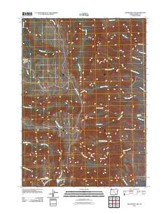 2011 Map of Wildhorse Lake, 2011 Print