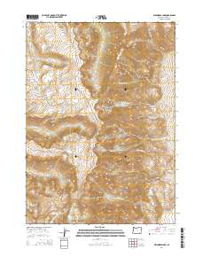 2014 Map of Wildhorse Lake, 2014 Print