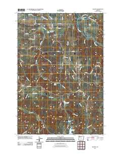 2011 Map of Wilhoit, 2011 Print