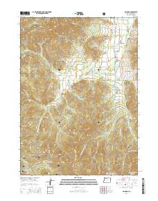 2014 Map of Williams, 2014 Print