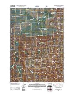 2011 Map of Williams Prairie, 2011 Print