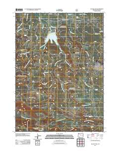 2011 Map of Willow Lake, 2011 Print