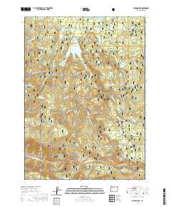 2020 Map of Willow Lake, 2020 Print