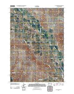 2011 Map of Willowcreek, 2011 Print