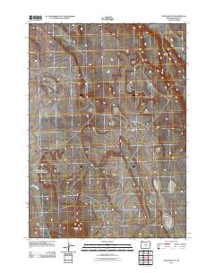 2011 Map of Wilson Butte, 2011 Print