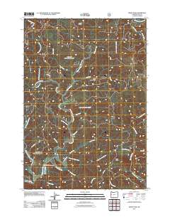 2011 Map of Windy Peak, 2011 Print