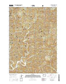 2014 Map of Windy Peak, 2014 Print