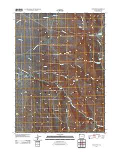 2011 Map of Windy Point, 2011 Print