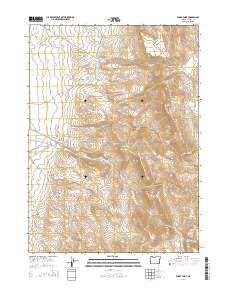 2014 Map of Windy Point, 2014 Print