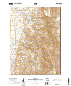 2020 Map of Windy Point, 2020 Print