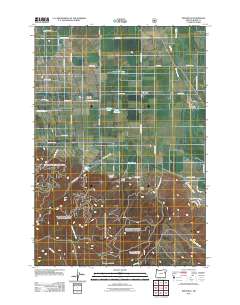 2011 Map of Wingville, 2011 Print