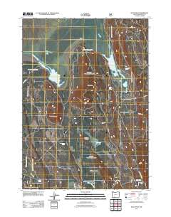 2011 Map of Wocus Bay, 2011 Print