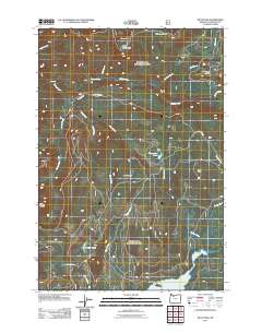 2011 Map of Wolf Peak, 2011 Print
