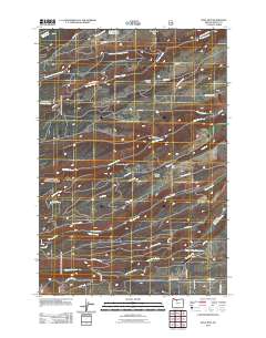 2011 Map of Wolf Run, 2011 Print