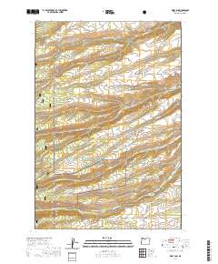 2020 Map of Wolf Run, 2020 Print