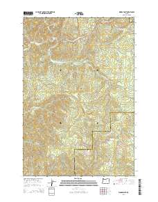 2014 Map of Woods Point, 2014 Print