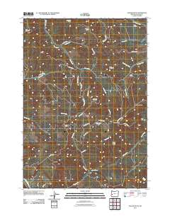 2011 Map of Yellow Butte, 2011 Print