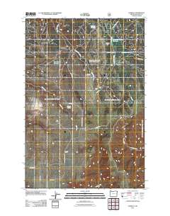 2011 Map of Zumwalt, 2011 Print