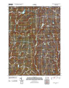 2010 Map of Auburn Center, 2010 Print