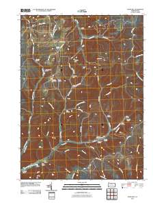 2010 Map of Ayers Hill, 2010 Print