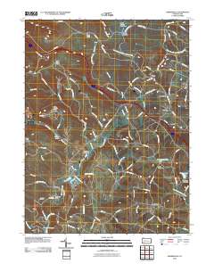 2010 Map of Bakersville, 2010 Print