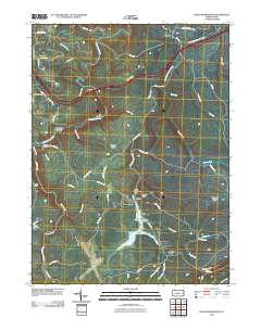 2010 Map of Black Moshannon, 2010 Print