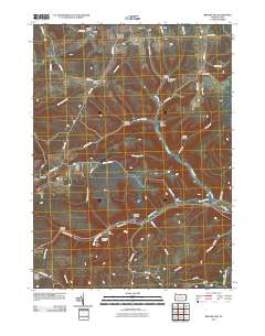 2010 Map of Brookland, 2010 Print