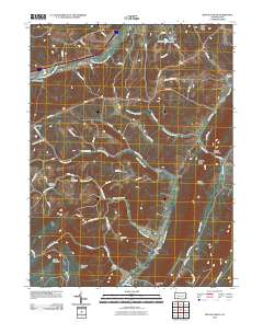2010 Map of Buffalo Mills, 2010 Print