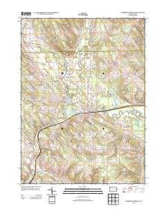 2013 Map of Cambridge Springs, 2013 Print