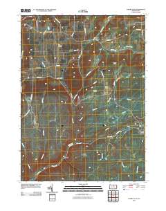 2010 Map of Cherry Flats, 2010 Print