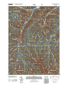 2011 Map of Cherry Grove, 2011 Print