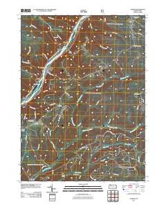 2011 Map of Cobham, 2011 Print