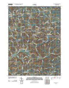 2010 Map of Coolspring, 2010 Print