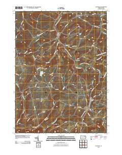 2010 Map of Dushore, 2010 Print