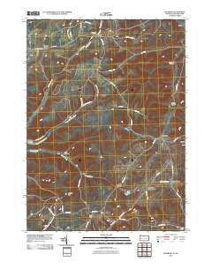 2010 Map of Ellisburg, 2010 Print