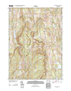 2013 Map of Forest City, 2013 Print