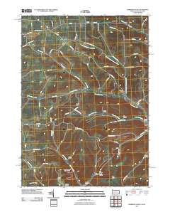 2010 Map of Harrison Valley, 2010 Print