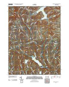 2010 Map of Harveys Lake, 2010 Print