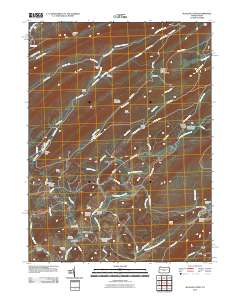 2010 Map of McAlevys Fort, 2010 Print