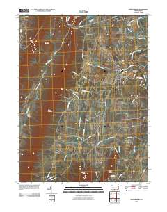 2010 Map of Mercersburg, 2010 Print