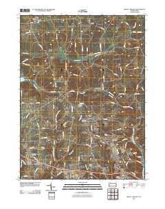 2010 Map of Mount Chestnut, 2010 Print