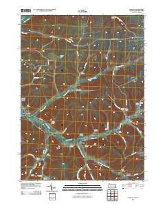 2010 Map of Oswayo, 2010 Print