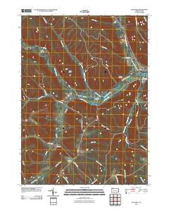 2010 Map of Pittsfield, 2010 Print