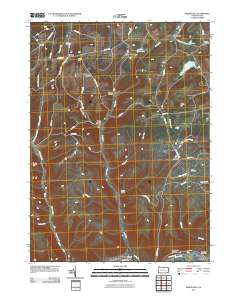 2010 Map of Sabinsville, 2010 Print