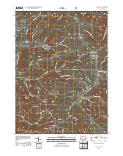 2011 Map of Scandia, 2011 Print