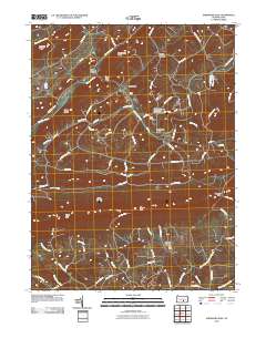 2010 Map of Shermans Dale, 2010 Print