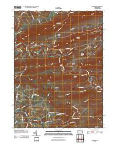 2010 Map of Shumans, 2010 Print
