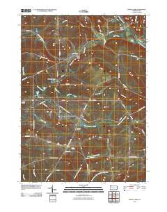 2010 Map of Spring Creek, 2010 Print