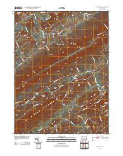 2010 Map of Spruce Hill, 2010 Print